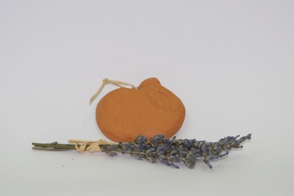 Pločica keramička jabuka Aromatica