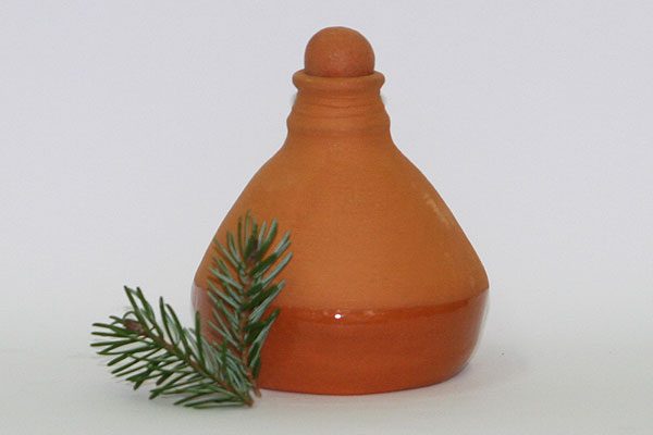 Tikvica mirisna berga Aromatica